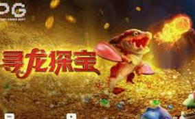 pg软件桌面版客户端